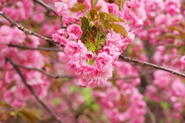 温州乐清10线下个人借款平台一站式服务，轻松解决资金难题