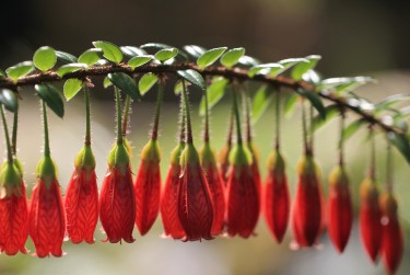 温州乐清10零用贷短借：轻松解决临时资金需求