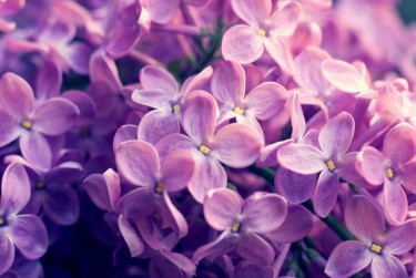 温州乐清10企业急用钱贷款攻略：快速融资解燃眉之急